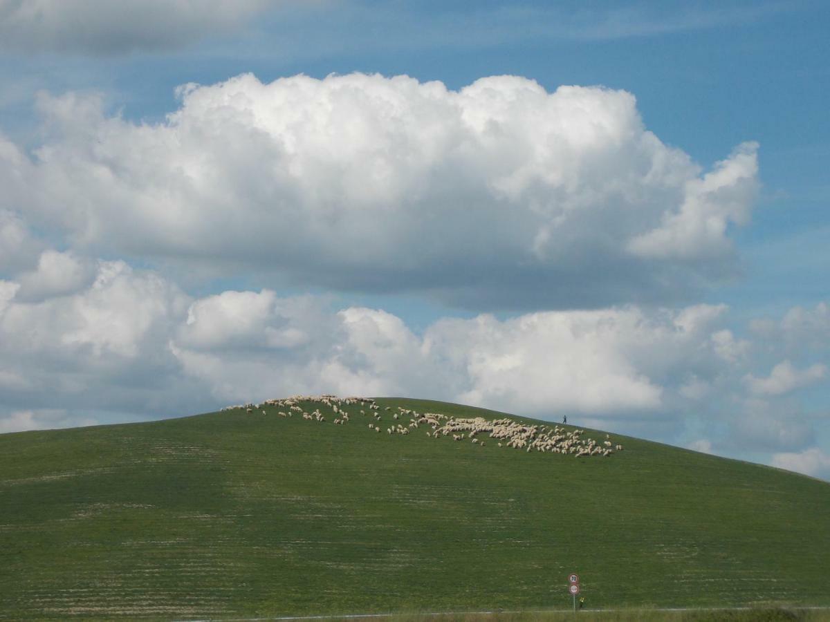בית הארחה Castiglione dʼOrcia 	Casale Le Querciole מראה חיצוני תמונה
